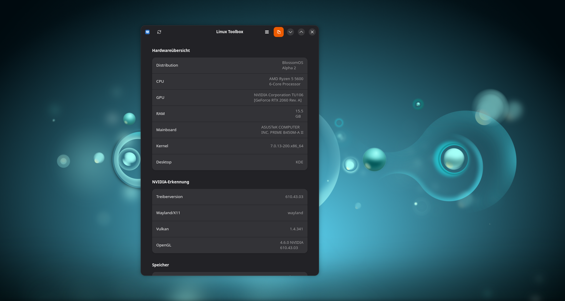 Linux Toolbox: Hardwareübersicht mit Distribution, CPU, GPU, RAM, Mainboard, Kernel und Desktop, darunter NVIDIA-Erkennung mit Treiberversion, Wayland/X11, Vulkan und OpenGL.